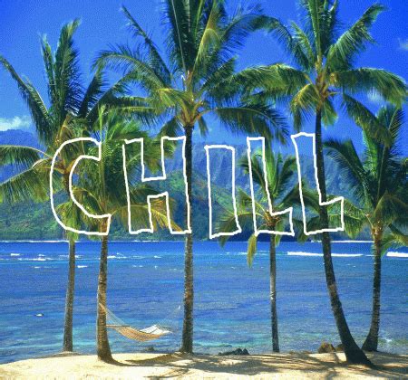 Tropical Beach Palm Trees Chill GIF | GIFDB.com