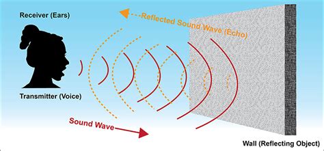 How do Scientists Use Sound to Count Fish in The Deep Sea? · Frontiers for Young Minds