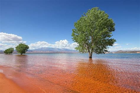 10 Best Utah Lake Camping Destinations for a Weekend on the Water