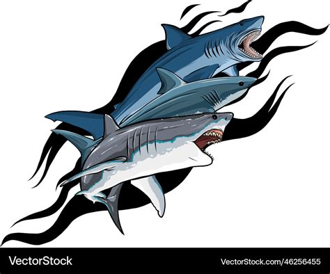 Sharks collection great white shark Royalty Free Vector