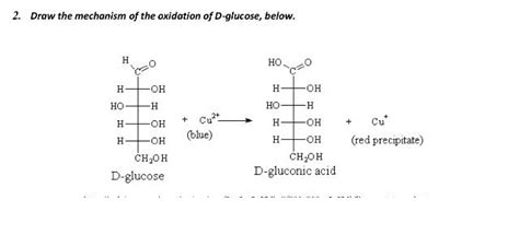 Solved Draw the mechanism of the oxidation of D-glucose, | Chegg.com