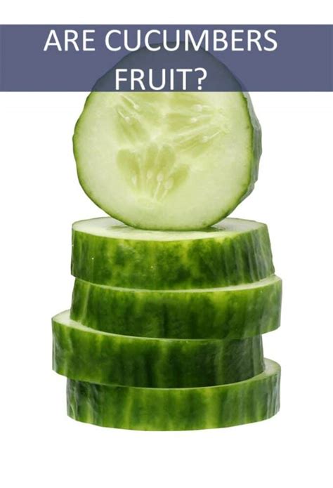 Is Cucumber a Fruit? - The Cookful