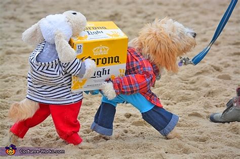 This Brilliant Dog Carrying A Box Of Beer Costume Might Be The Best We ...