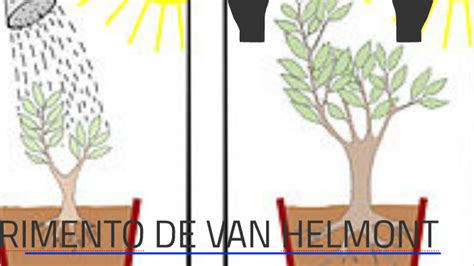 experimento de van helmont by nayda torres on Prezi