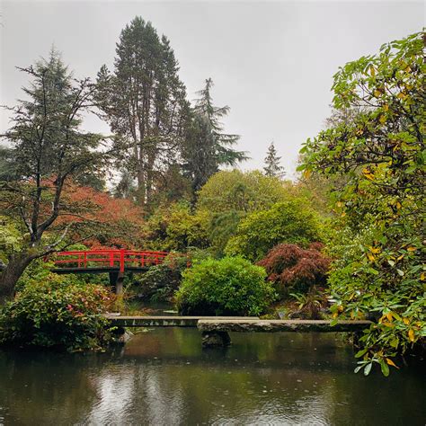 Stormwater Study for Kubota Garden and Mapes Creek – Walker Macy