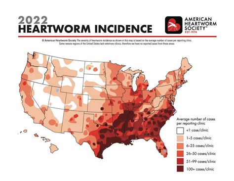 New Heartworm Incidence Map shows increase in parasitic cases