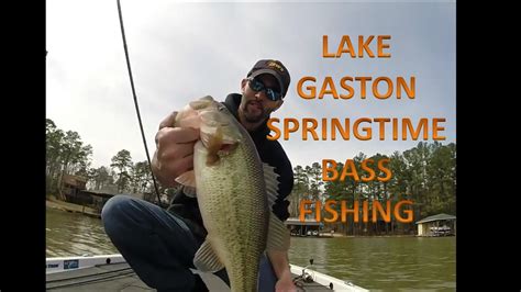 Lake Gaston Bass Fishing - YouTube