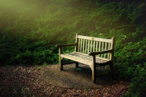 Sunlight on Park Bench Photograph by Tom Mc Nemar - Fine Art America