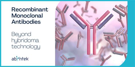 Recombinant Monoclonal Antibodies - Abyntek Biopharma