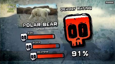 Polar Bear | Deadly 60 Wiki | Fandom