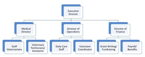 Making the Most of the Shelter Veterinarian – Integrating Veterinary Medicine with Shelter Systems