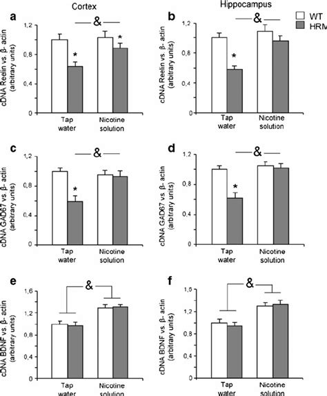 Real-time PCR analysis of reelin. Reelin mRNA expression in cortex ( a ...