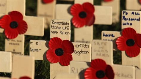 How a Remembrance Day poppy is made - BBC News