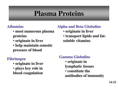 PPT - Chapter 14 Blood PowerPoint Presentation, free download - ID:6459913