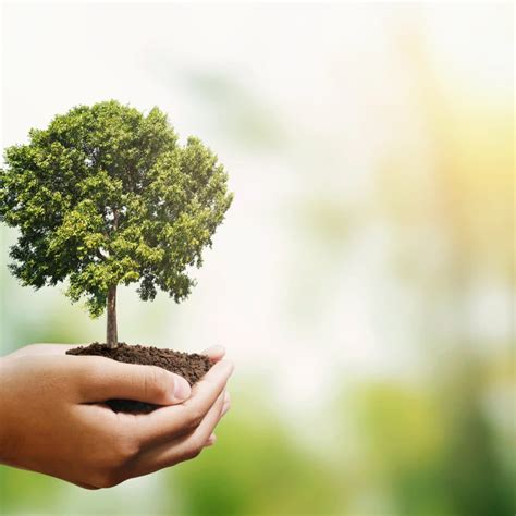 Earth Day Plant Care - Elite Tree Care