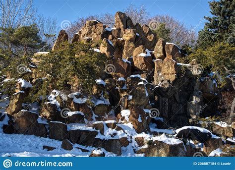 Montreal Botanical Garden in Winter Stock Photo - Image of urban ...