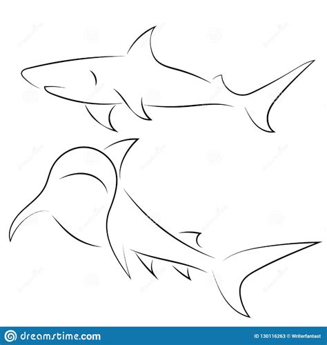 Shark Tattoo Sketch