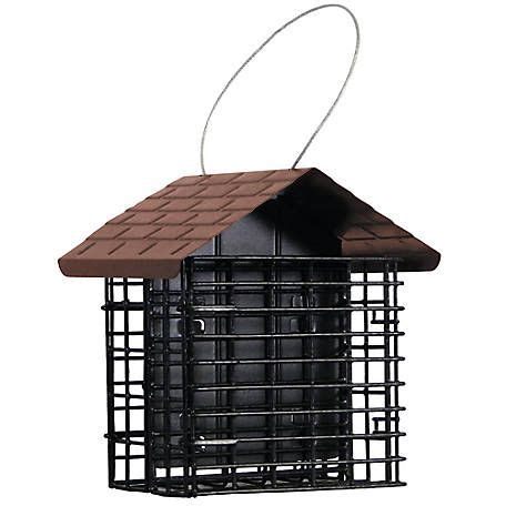 Royal Wing Suet Bird Feeder, 2 Cake Capacity at Tractor Supply Co. | Suet bird feeder, Suet ...