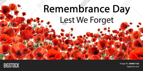 Remembrance Day Banner Image & Photo (Free Trial) | Bigstock