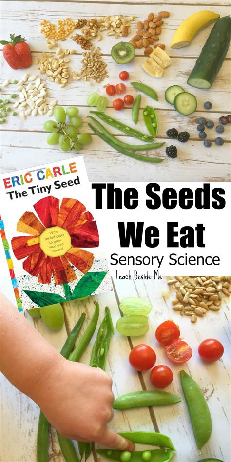 the seeds we eat- nature sensory science for kids. Great with Eric Carle's Tiny Seed book