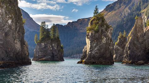 Kenai Fjords National Park i Seward - Bestil billetter til dit besøg