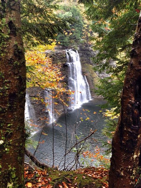 Salmon River Falls