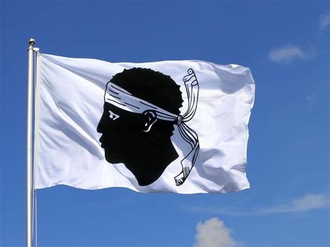 Thoughts on the corsican flag ? : r/vexillology