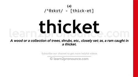 Pronunciation of Thicket | Definition of Thicket - YouTube