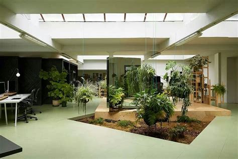 Studio office | Interior garden, Indoor gardens, Indoor garden