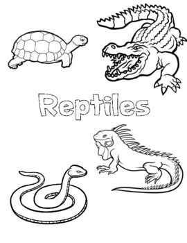 Reptile Coloring Pages