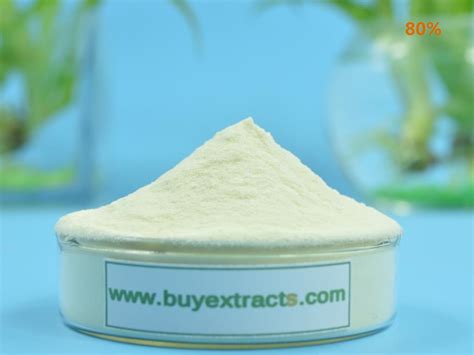 Where to buy Yeast Extract manufacturer &suppliers