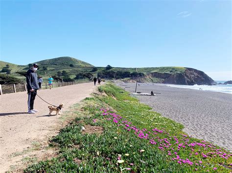 Hikes in Pacifica: Pacifica Hiking Trails With the Best Coastal Views