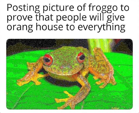 Day 1 - froggo came to Reddit : r/memes