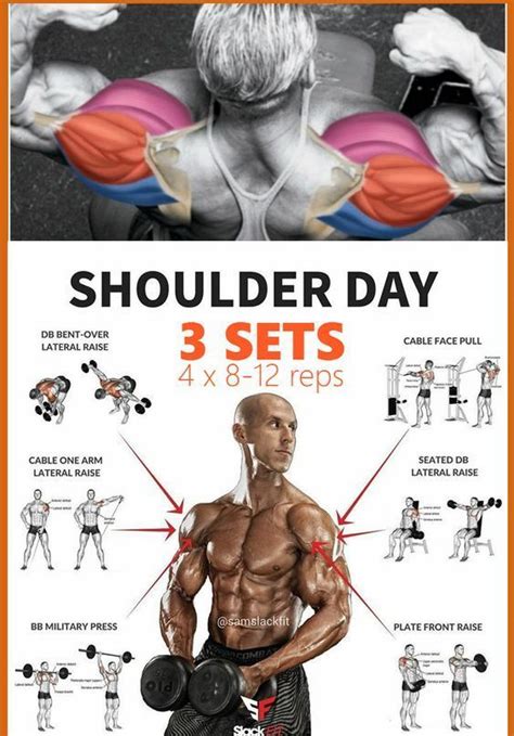 Double Phase Shoulder Width And Growth Workout Plan | Shoulder workouts for men, Shoulder workout