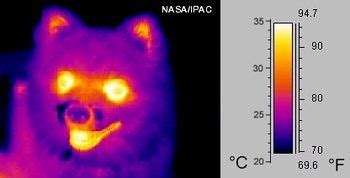 Infrared radiation - Energy Education