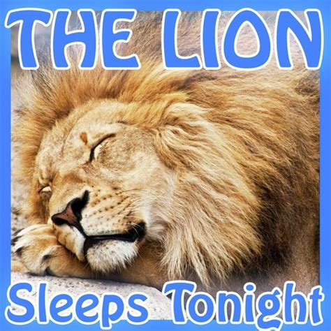 In The Jungle The Mighty Jungle The Lion Sleeps Tonight Lyrics - Trend Meme