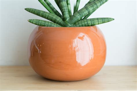 Vintage Orange Planter - Round Ceramic Glaze Plant Pot with Halloween Pumpkin Shape - Modern ...
