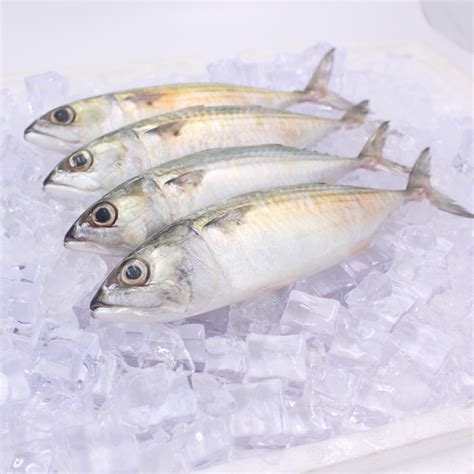 Alumahan Whole (Cleaned) 450-500g - Buy Alumahan Fish Online