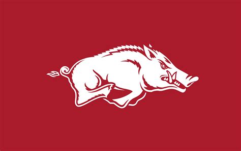 Razorback Wallpaper Free - WallpaperSafari