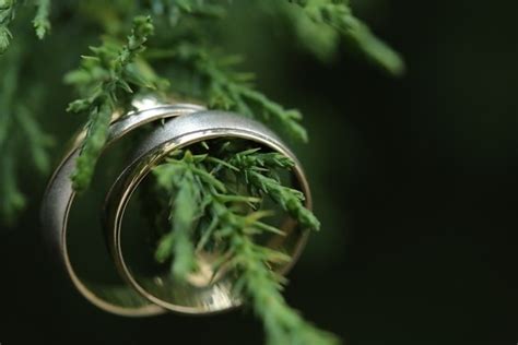 Free picture: diamond, gold, jewel, jewelry, platinum, reflection, rings, still life, indoors, blur