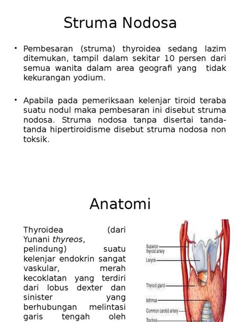 Struma Nodosa | PDF