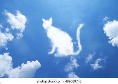 Cat cloud cartoon: 18.695 billeder, stock-fotos og -vektorer | Shutterstock