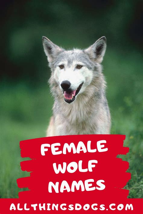 Female Wolf Names | Wolf name, Dog names, Alpha female wolf