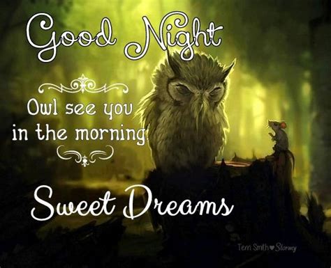 "Good Night. Owl see you in the morning." Sweet Dreams. By: Terri Smith