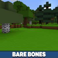 Download Minecraft PE Bare Bones Texture Pack: Outlined Ores