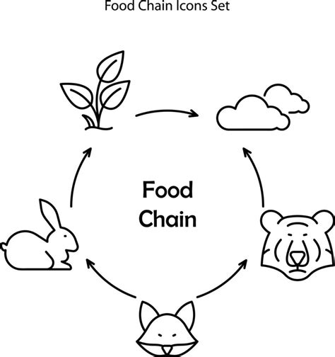 How to draw Food Chain diagram easy, Food Cycle drawing easy, food for ...