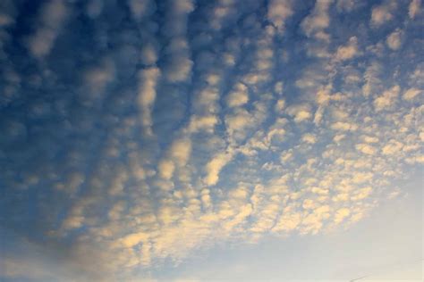 Cirrocumulus clouds: overview and weather prediction