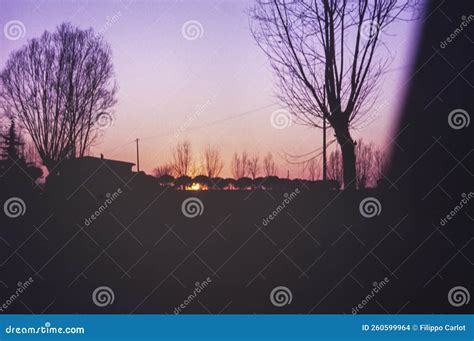 Silhouette Bare Branches Sunset Countryside Scene in 70s Stock Photo - Image of nostalgia ...