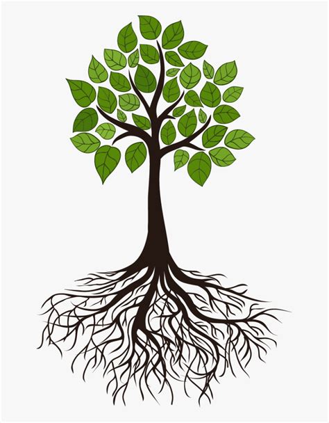 Clip Art Tree Roots | PNG-clipart