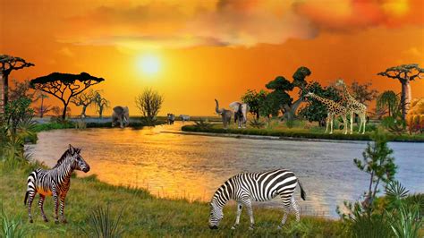 African Animals Wallpaper HD Free Download